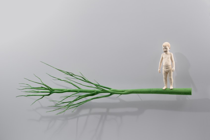 the scream of the forest Christian Verginer